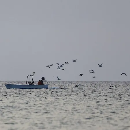 База отдыха Villaggio Gargano 2*