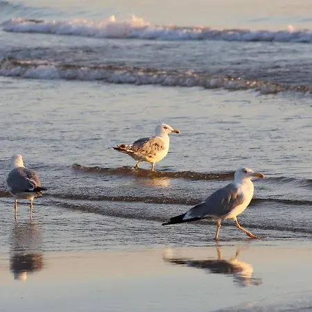 Villaggio Gargano Вьесте